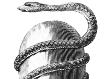 Project Illustration